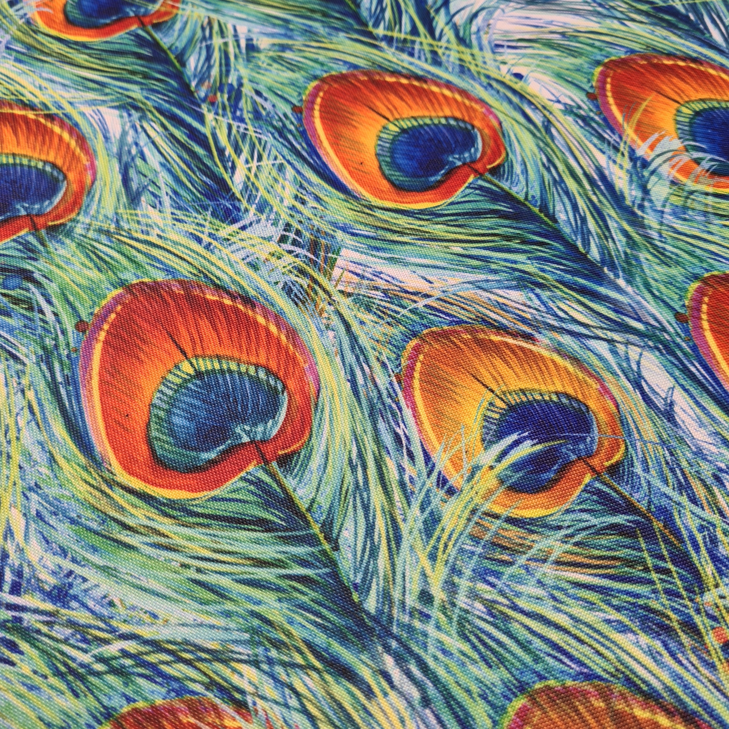 Peacock Fabric