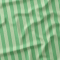 Stripe Mint fabric