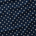 Polka Dot Cream and Navy fabric