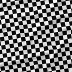 Check Black and White fabric