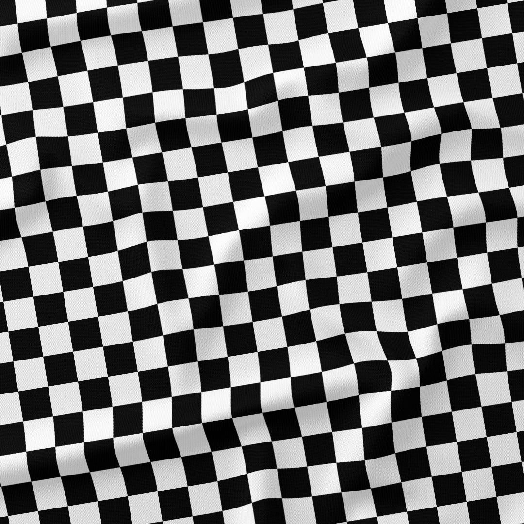 Check Black and White fabric