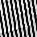 Stripe Black and White fabric