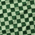 Check Mint and Dark Green fabric