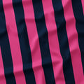 Stripe Navy and Pink fabric