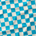 Check 2in Aqua and Cream Fabric