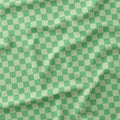 Check Mint fabric