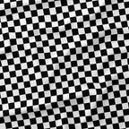 Check Black and White fabric