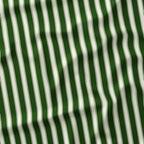 Countryside Stripe Sap Green with Ivory fabric