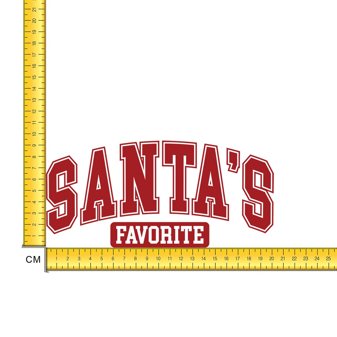 Santas Favourite Iron on Fabric Heat Transfer DTF-291