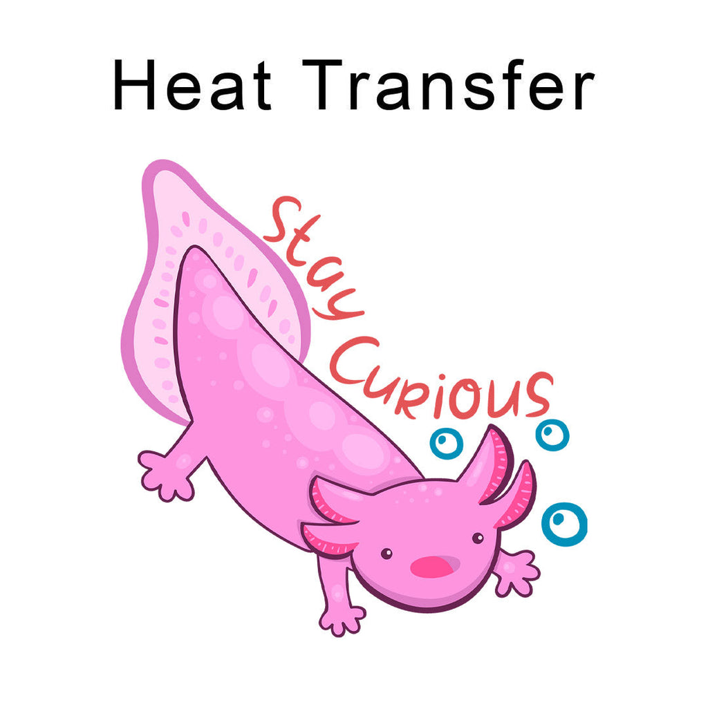 Stay Courious Iron on Fabric Heat Transfer DTF-319
