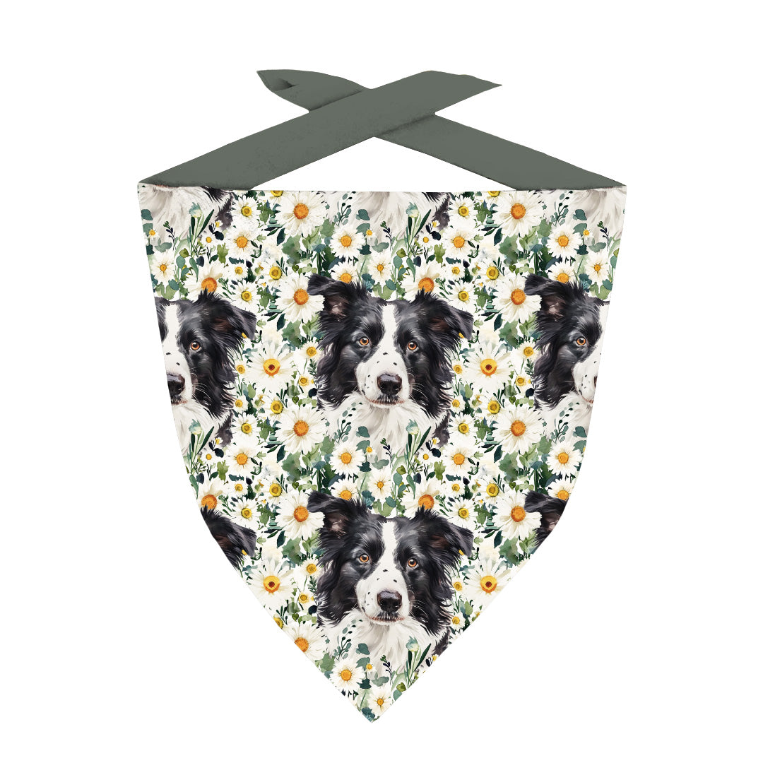 Floral Border Collie Fabric