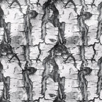 Birch Tree Bark Fabric