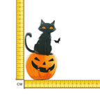 Black Cat Pumpkin Iron on Fabric Heat Transfer DTF-237
