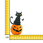 Black Cat Pumpkin Iron on Fabric Heat Transfer DTF-237