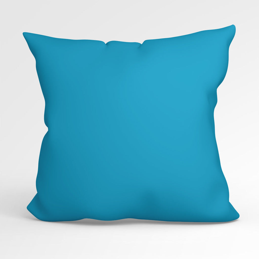 CUSHION CO-ORD Blue Panda Fabric Panel