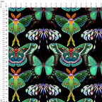 Gardens of Eden Butterflies Black Fabric