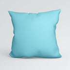 CUSHION CO-ORD Panel Pastel Squirrel CP-243