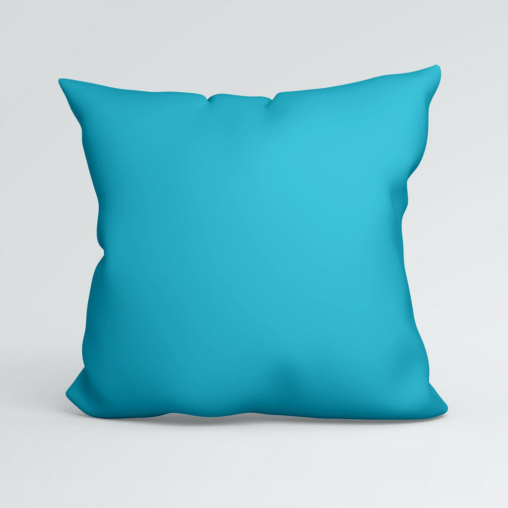 CUSHION CO-ORD Swimming Corgi Dog CP-428
