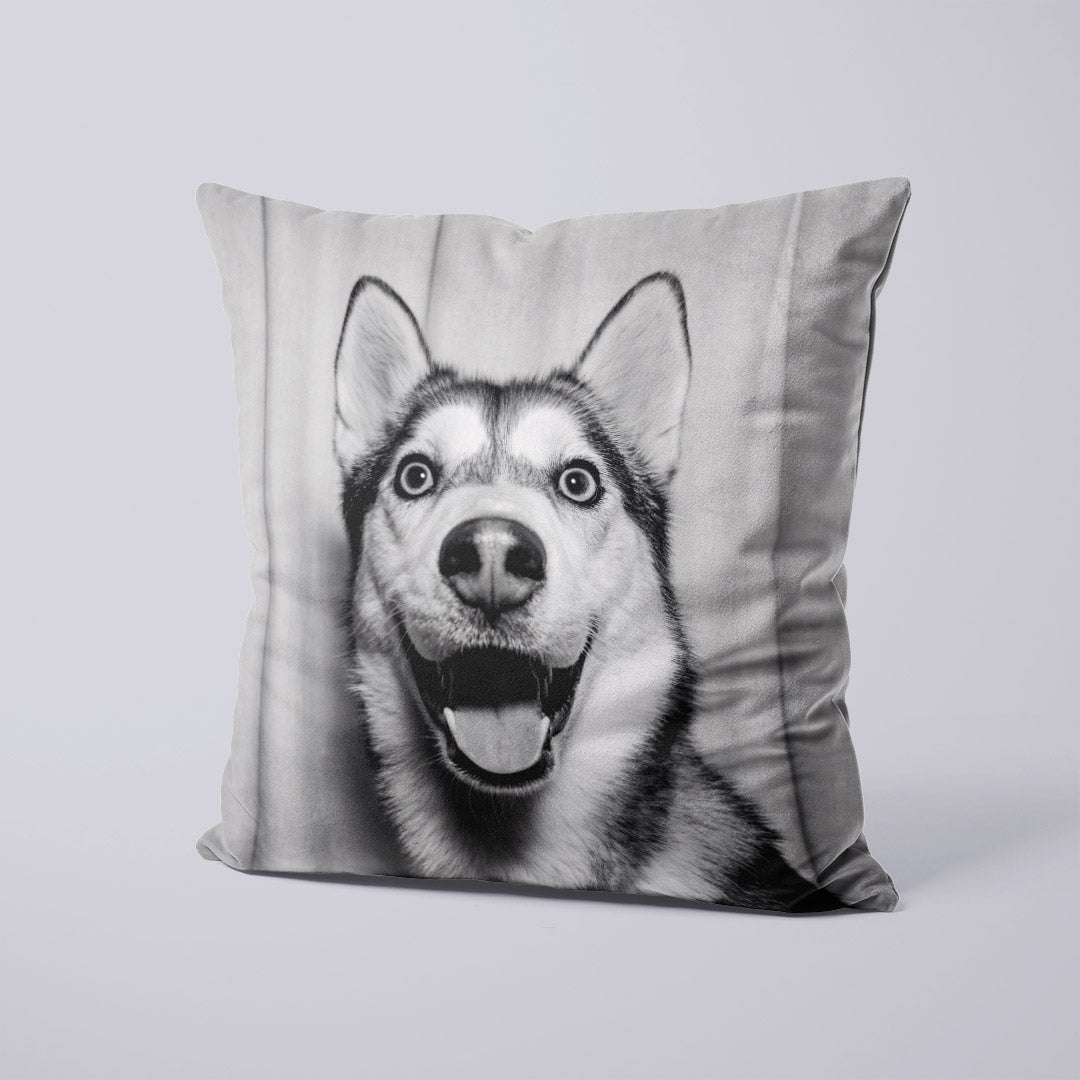 CUSHION Panel Husky Surprise CP-711
