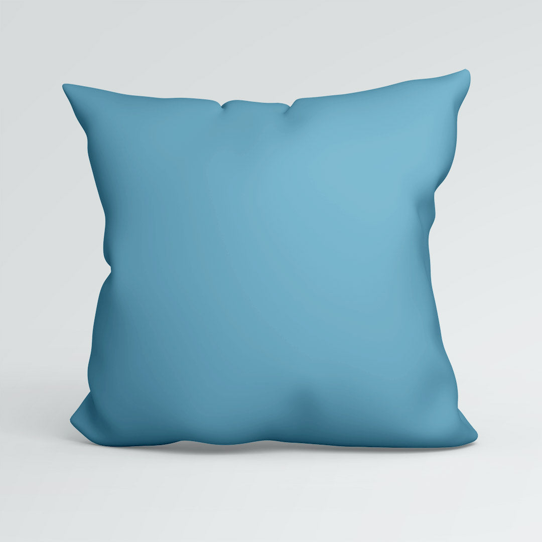 CUSHION Panel Cool Capybara CO-ORD CP-885