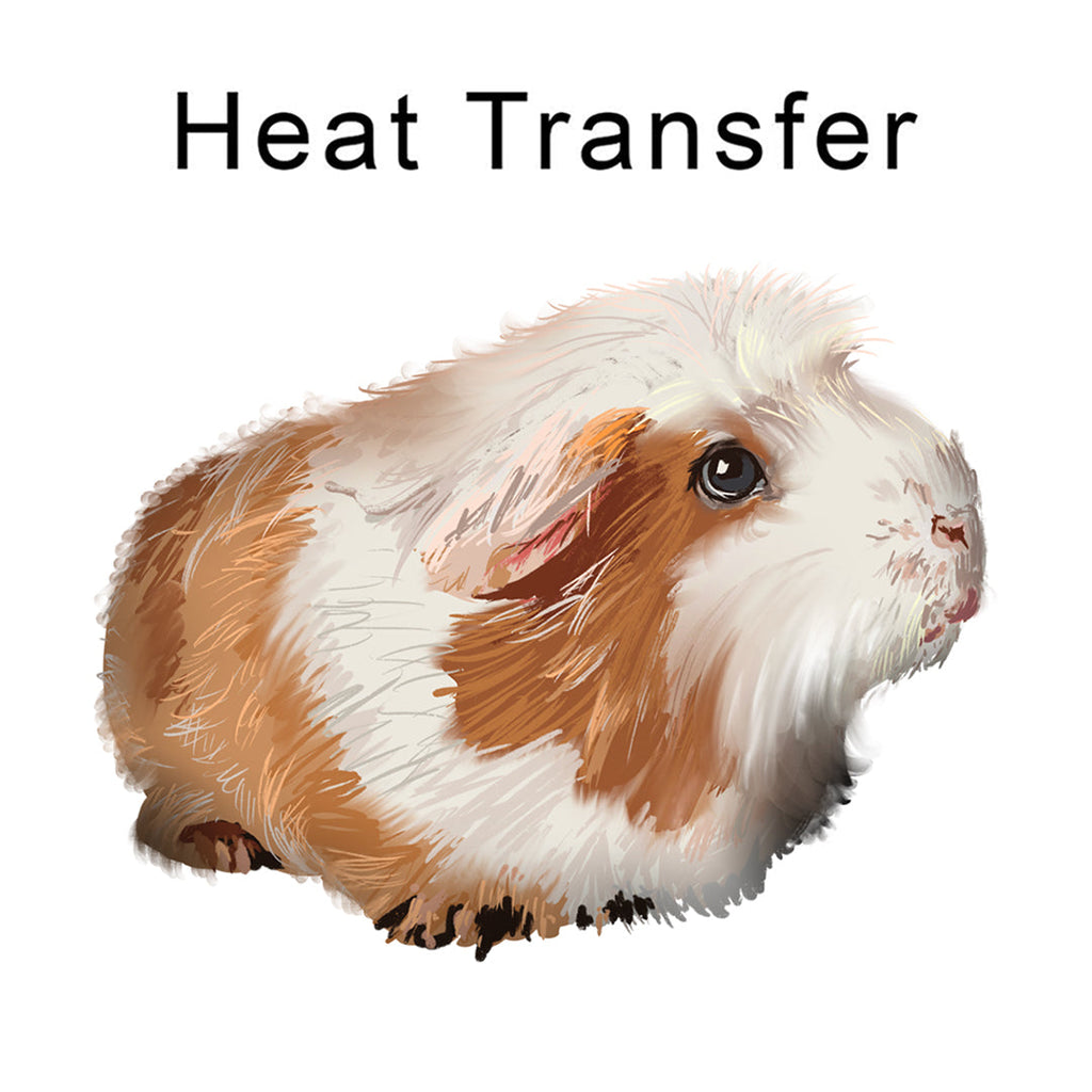 Cute Guinea Pig Iron on Fabric Heat Transfer DTF-85
