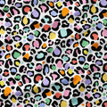 Colourful Leopard Spots Fabric