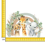 Rainbow Safari Iron on Fabric Heat Transfer DTF-220