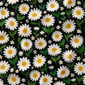 Daisy Black Fabric