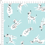 Dalmatian Mint Fabric