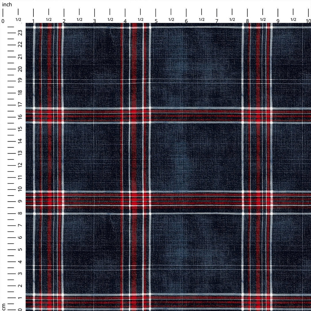 Denim Checks Fabric 1463