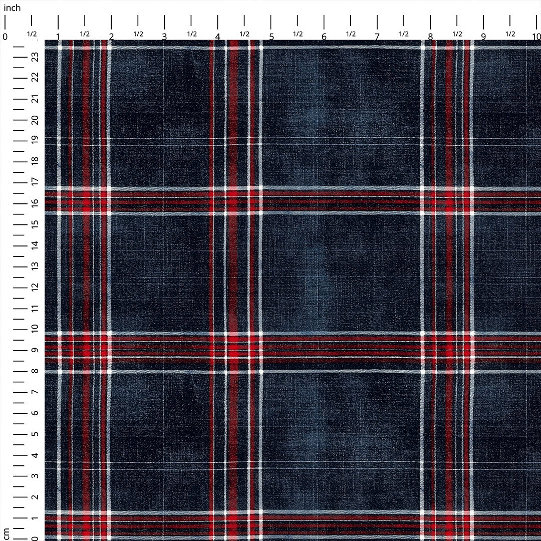 Denim Checks Fabric 1463