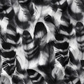 Feathers B&W Fabric