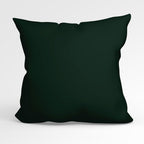 CUSHION CO-ORD Horse Green Fabric Panel