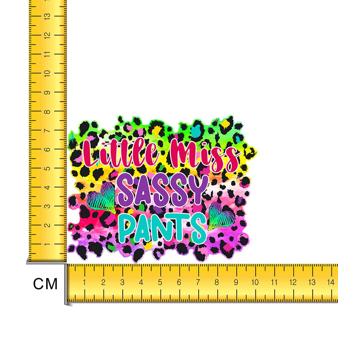 Miss Sassy Iron on Fabric Heat Transfer DTF-233