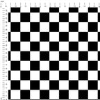 Black and White Checquered Fabric 1462