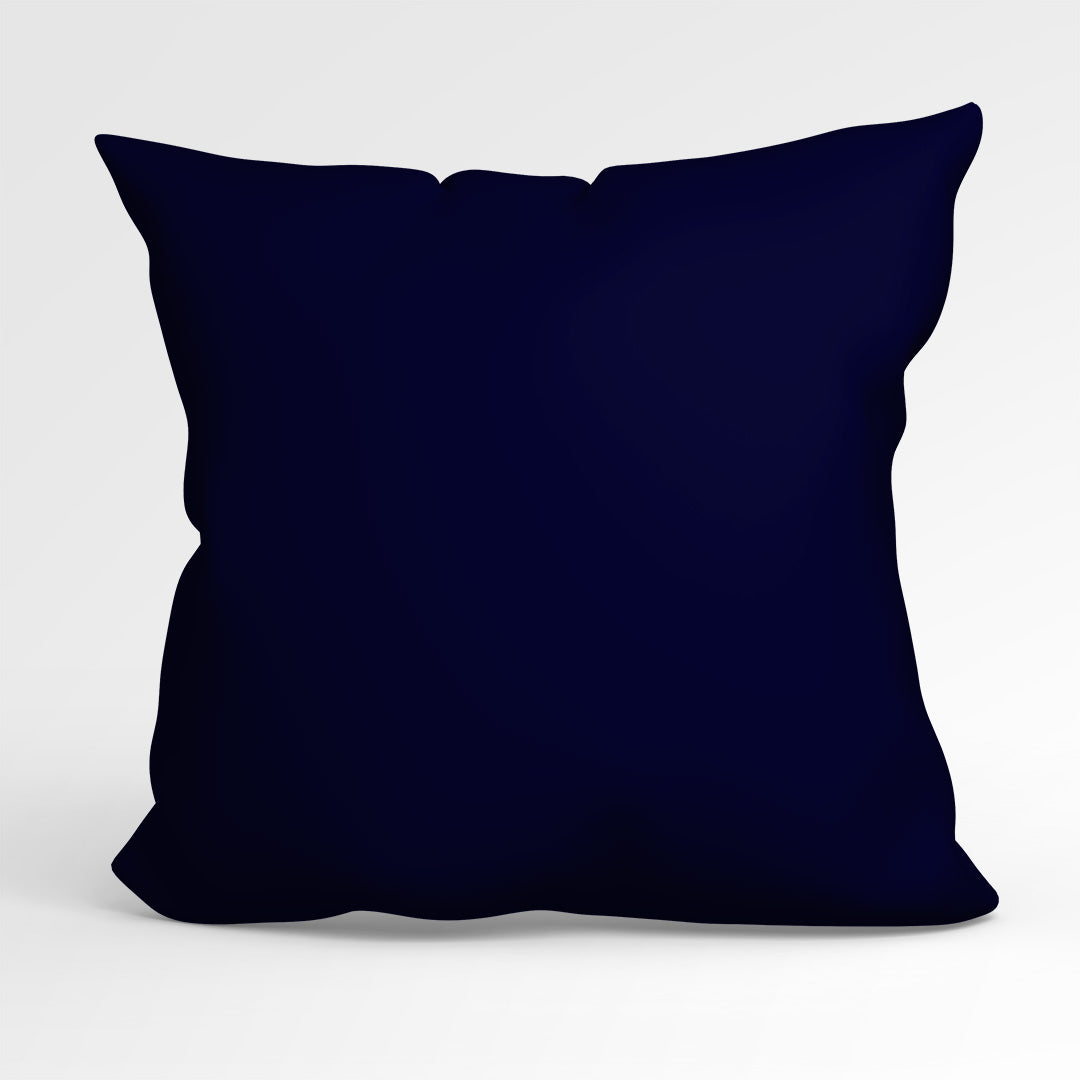 CUSHION CO-ORD Moonlight Sailing Fabric Panel