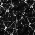 Neurons Fabric