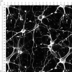 Neurons Fabric