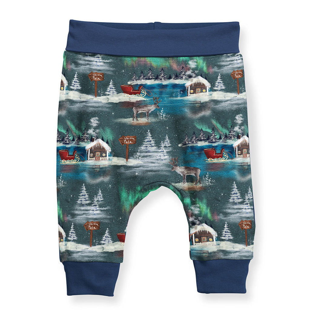North Pole Fabric