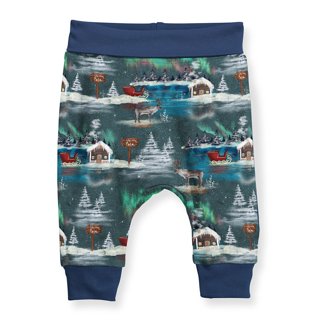 North Pole Fabric