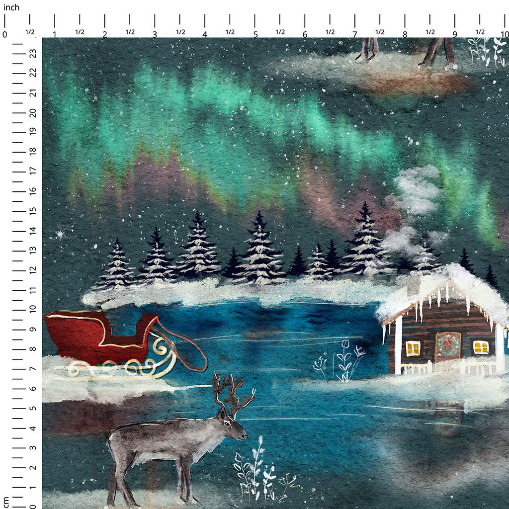 North Pole Fabric