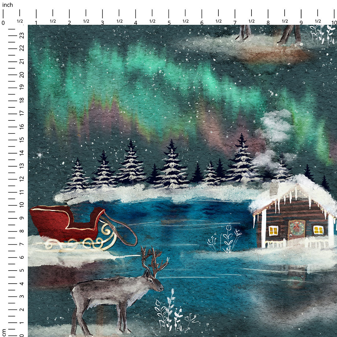 North Pole Fabric