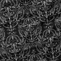Hummingbirds Lace Black & White Fabric
