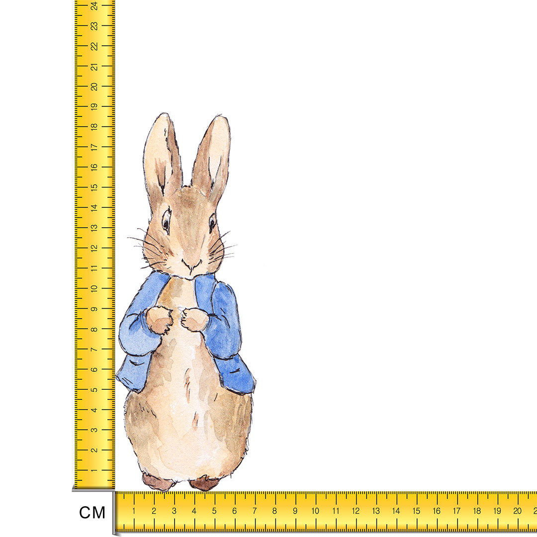 Rabbit Iron on Fabric Heat Transfer DTF-142