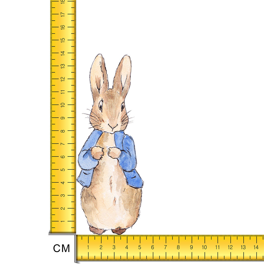 Rabbit Iron on Fabric Heat Transfer DTF-142