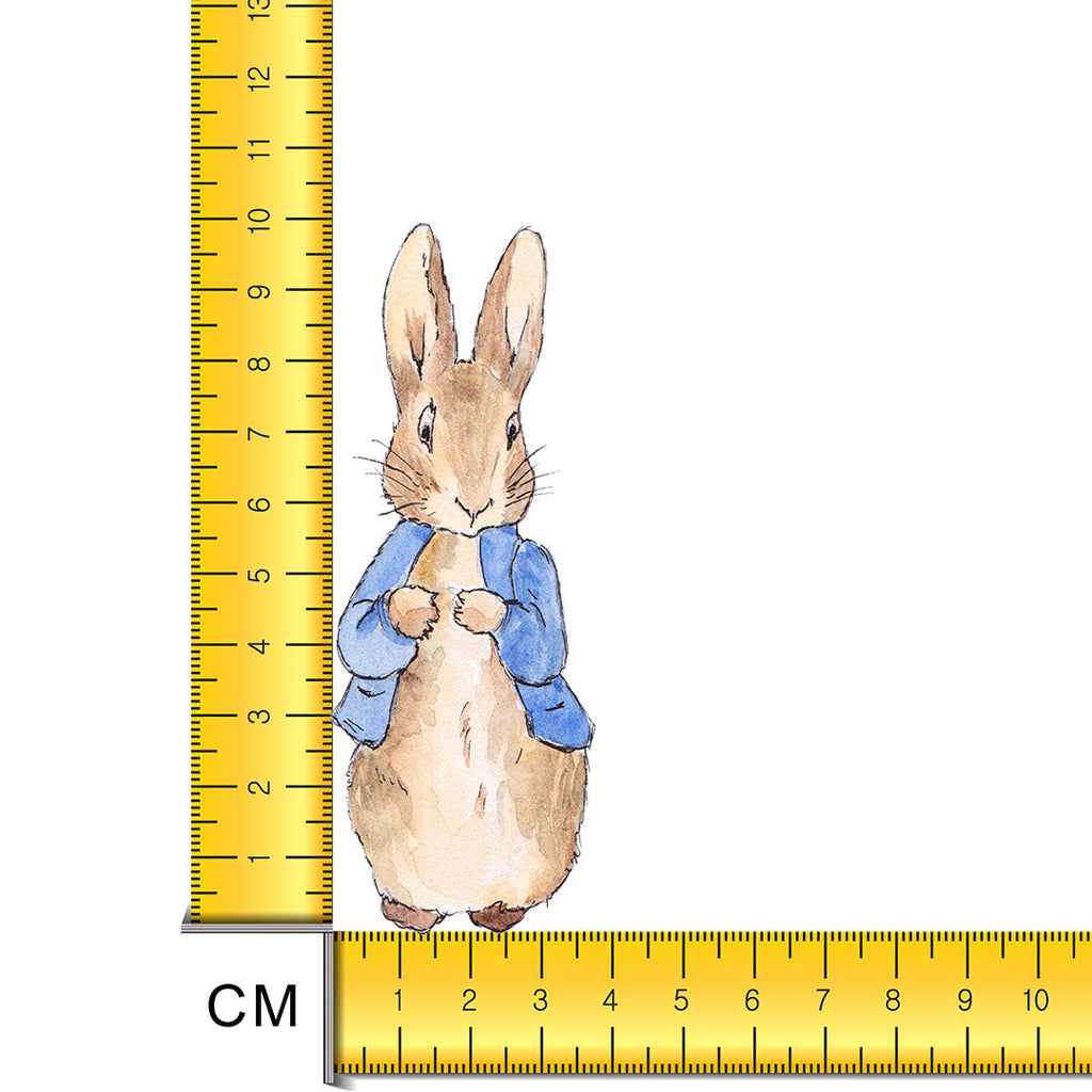 Rabbit Iron on Fabric Heat Transfer DTF-142