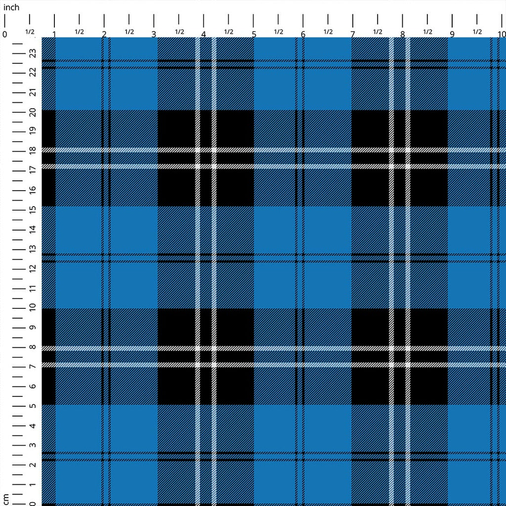 Ramsay Blue Ancient Tartan Fabric 1454