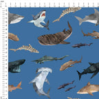 Sharks Blue Fabric