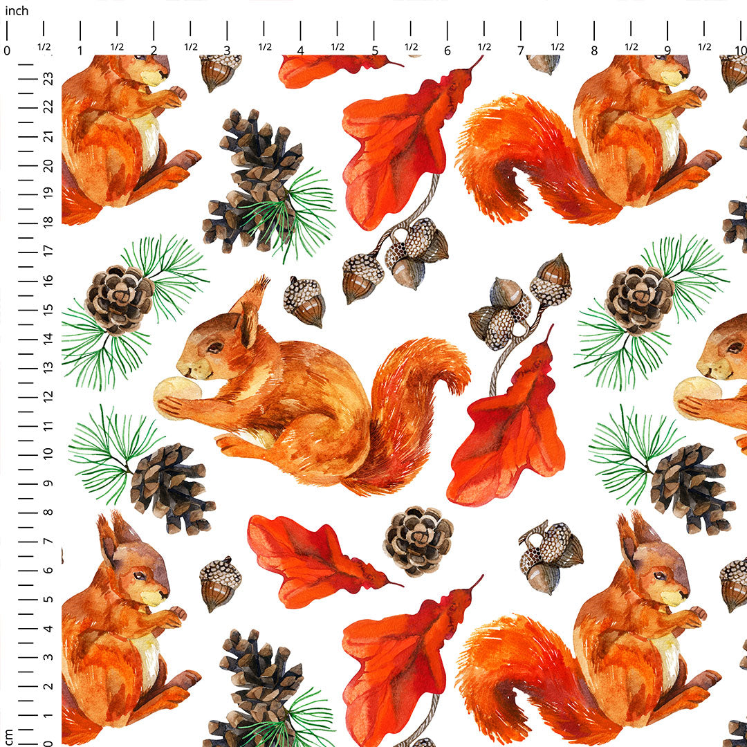 Squirrels on White Fabric