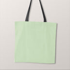 TOTE Christmas Dinosaur Mint CO-ORD Fabric Bag Panel TP-1240